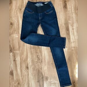Seraphine Mayernity Dark Wash Skinny Jeans